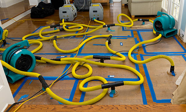 Professional Basement Flood Cleanup technician working in Elizabethton, TN